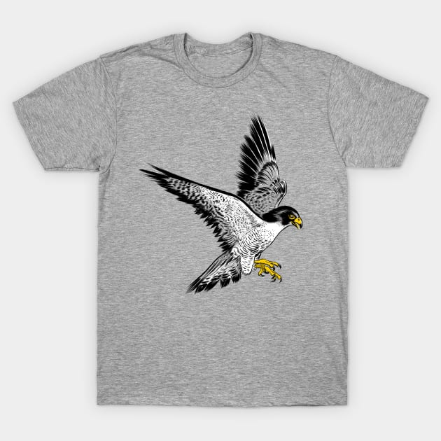 Sketch Hawk T-Shirt by albertocubatas